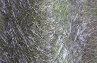 Boscombe fibreglass roof work